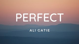 Ali Gatie  Perfect Lyric Video [upl. by Colier277]