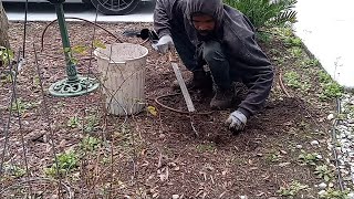 Winning The Battle Against Garden Weeds [upl. by Rosalind]