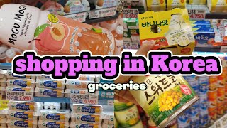 Grocery Shopping in Korea vlog🇰🇷 Supermarket Food with Prices 🛒 shopping in korea💜 [upl. by Garlinda]