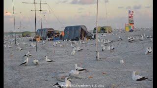 Clipperton Island DXpedition 2024 [upl. by Aerbua]