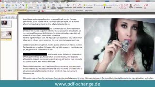 PDFXChange Editor  Zensur Text schwärzen [upl. by Llerral680]