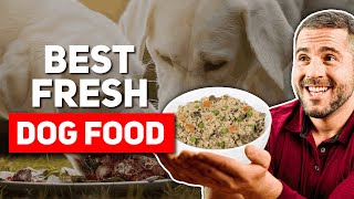 Best Fresh Dog Food Brands 2024 [upl. by Warp378]