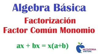 Ejercicio Factorizacion  Primer Caso  Álgebra  Mi Profesor de Matemáticas  Video 016 [upl. by Toma]