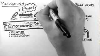 Pharmacokinetics 4  Metabolism [upl. by Gilbertine]