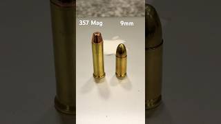 9mm vs 357 Mag Size Comparison [upl. by Parthinia]