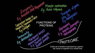 B12 Proteomes [upl. by Mcnamara]