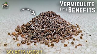 How To Use Vermiculite For Plants Its Benefits amp Side Effects [upl. by Waddell693]