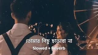 Tomar Pichu Charbo Na  Slowed And Reverb  Nahid Hasan  Bengali Lofi Songs [upl. by Nadoj]