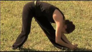 Simple Stretching Exercises  Lower Body Stretching Exercises [upl. by Otreblig651]