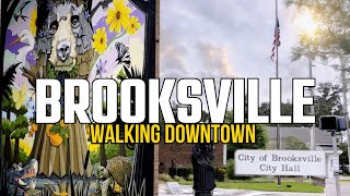 Small Towns Exploring Brooksville Floridas Main Street [upl. by Atneuqal]