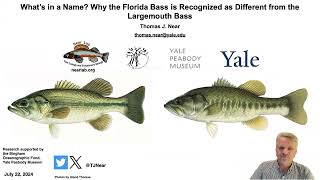 What’s in a Name Why the Florida Bass is Recognized as Different from the Largemouth Bass [upl. by Nipsirc]