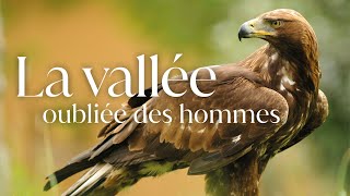 La vallée oubliée des hommes  Bande annonce SalamandreTV [upl. by Ledif]