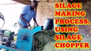 Siilage Making Process Using Silage Chopper [upl. by Leahciam]