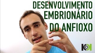 Embriologia  Desenvolvimento Embrionário do Anfioxo [upl. by Erena]