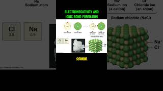 Why does Salt NaCL form with sodium and chloride Hint Electronegativity [upl. by Arval]