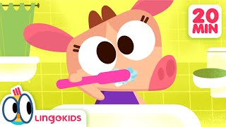 Dance with DAILY ROUTINES FOR KIDS 🧼  More Songs for Kids  Lingokids [upl. by Krute]