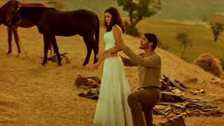 Mahesh Babu Kissing Scene  Latest Super Hit Movie Scenes  Volga Videos [upl. by Atekehs725]