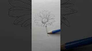 Draw a flower 🌸 Easy drawing lesson for beginners on how to draw a flower drawinglessonhowtodraw [upl. by Corene]