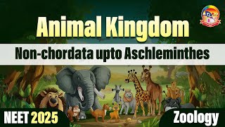 Animal kingdom  NonChordata up to Aschelminthes  NEET 2025 Zoology  srichaitanyagosala [upl. by Alper]