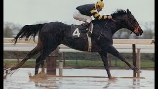 Seattle Slew  Full Documentary [upl. by Assirralc]