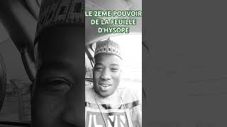 2ÈME POUVOIR DE LA FEUILLE DHYSOPE hysope feuille pouvoir occulte magie parent afrique [upl. by Ellita]