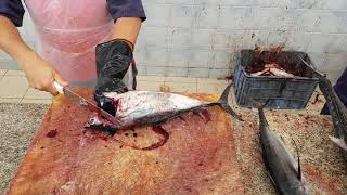 Yellow Fish Tuna Surprisingly Tuna Fish Filleting Skills Satisfying Yellow Fish Tuna Filleting [upl. by Nirb]