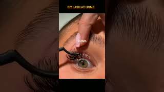 DIY LASHES AT HOME Factory Supply lashes beauty fyp eyelashextensions [upl. by Prudi88]