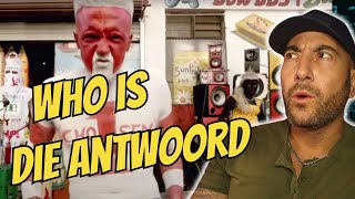 FIRST EVER REACTION to  Die Antwoord  quotFatty Boom Boomquot Official Video WHAT [upl. by Llewellyn893]