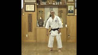 HIRONORI OTSUKA III  Shorts Kushanku Application  BUNKAI [upl. by Mcnair]