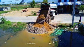 Started up Dump truck 5TON drop soil delete floodland to develop land pour by old power dozer D20P [upl. by Onoitna]