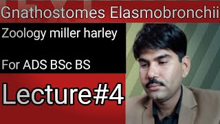 Lec4Gnathostomes Elasmobronchii Zoology Miller Harley ADS BS BSc Urdu Hindi [upl. by Vories]