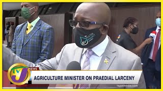 Agriculture Minister on Praedial Larceny  TVJ News [upl. by Noxin]