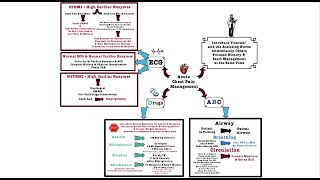 Acute Chest Pain Management  OSCE [upl. by Learsi]