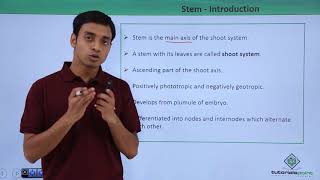 Class 11th – Stem – Introduction  Morphology of Flowering Plants  Tutorials Point [upl. by Ammamaria164]