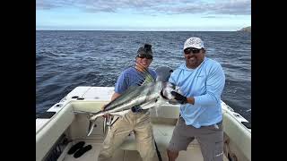 Marlin Sailfish Roosterfish Bucket list fishing Adventure in Cabo [upl. by Tenneb]