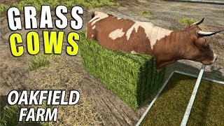 GRASS COWS  Farming Simulator 17  Oakfield Farm  Episode 39 [upl. by Gualtiero278]