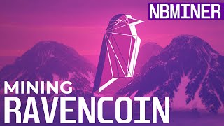 How To Mine Ravencoin  Ravencoin mining with NBminer [upl. by Olshausen]