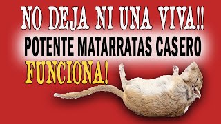 Potente VENENO CASERO para Matar Ratas y Ratones ¡LAS ANIQUILA [upl. by Corette67]