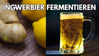 Ingwer Bier selber brauen  fermentierte Ingwer Limonade mit Kurkuma und Zitronen [upl. by Borchers]