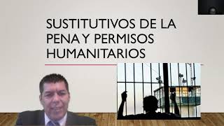 Sustitutivos de la pena tratamiento en libertad y semilibertad y los permisos humanitarios [upl. by Eladnar]