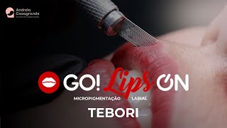 Micropigmentação Labial no Tebori  A Nova Tendência Para 2024 [upl. by Bacchus]