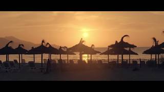 Discover Iberostar Alcudia Park  Iberostar Hotels amp Resorts [upl. by Sugihara]