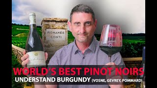 Finest Burgundy Wines  Your Guide to Top Pinot Noirs  VosneRomanée Pommard GevreyChambertin [upl. by Grissom]