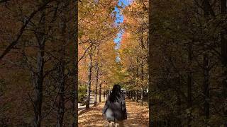 가을 국내 명소 너무나 아름다운 찰나의 계절 맘껏 즐기기 🍁🍂 국내여행 가을등산 단풍명소 경상남도여행지 남해여행 국내여행지추천 [upl. by Enyamart]