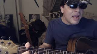 quotThe Porpoise Songquot Theme from Monkees Movie HEAD  Acoustic Cover Demo  Troy Spratt 😎 [upl. by Vona]