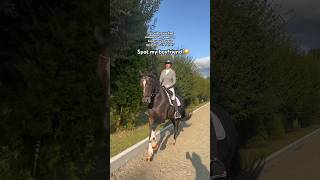 He’s the best 💁🏼‍♀️😎 equestrian short viral [upl. by Redle]