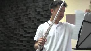 Taktakishvili Sonata for flute and piano in C  1st movement incomplete [upl. by Sone]